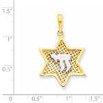 Load image into Gallery viewer, 14k Yellow Gold Rhodium Chai Star Mesh Pendant Charm
