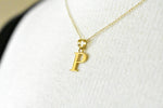 Load image into Gallery viewer, 14K Yellow Gold Uppercase Initial Letter P Block Alphabet Pendant Charm
