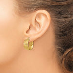 Lataa kuva Galleria-katseluun, 14K Yellow Gold 19mmx18mmx8mm Modern Contemporary Round Hoop Earrings
