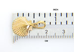 Load image into Gallery viewer, 14k Yellow Gold Seashell Clamshell Scallop Shell Pendant Charm
