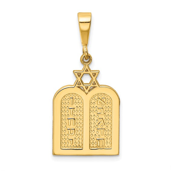 14k Yellow Gold Torah Star of David Pendant Charm - [cklinternational]