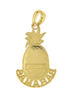 Afbeelding in Gallery-weergave laden, 14k Yellow Gold Bahamas Pineapple Travel Vacation Pendant Charm
