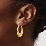 Kép betöltése a galériamegjelenítőbe: 14K Yellow Gold Classic Fancy Shrimp Hoop Earrings
