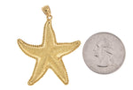Φόρτωση εικόνας στο εργαλείο προβολής Συλλογής, 14k Yellow Gold Starfish Textured Large Pendant Charm

