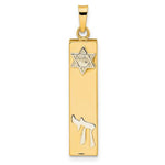 Cargar imagen en el visor de la galería, 14k Gold Two Tone Mezuzah Star of David Chai Pendant Charm
