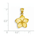 Kép betöltése a galériamegjelenítőbe: 14k Yellow Gold Plumeria Flower Small Pendant Charm
