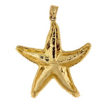 Kép betöltése a galériamegjelenítőbe: 14k Yellow Gold Starfish Textured Large Pendant Charm
