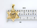 Load image into Gallery viewer, 14k Gold Two Tone Star of David Chai Pendant Charm
