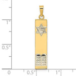 Carregar imagem no visualizador da galeria, 14k Gold Two Tone Mezuzah Star of David Torah Pendant Charm
