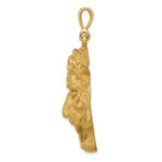 Φόρτωση εικόνας στο εργαλείο προβολής Συλλογής, 14K Yellow Gold Tiger Head Diamond Cut Large Pendant Charm
