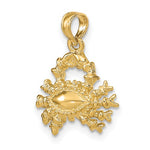 Load image into Gallery viewer, 14k Yellow Gold Cancer Zodiac Horoscope 3D Pendant Charm
