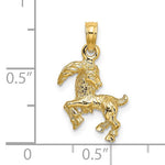 Lataa kuva Galleria-katseluun, 14k Yellow Gold Capricorn Zodiac Horoscope 3D Pendant Charm

