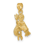 Lataa kuva Galleria-katseluun, 14k Yellow Gold Aquarius Zodiac Horoscope 3D Pendant Charm
