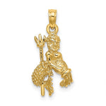 Ladda upp bild till gallerivisning, 14k Yellow Gold Aquarius Zodiac Horoscope 3D Pendant Charm
