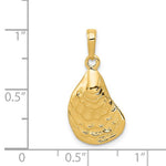 Φόρτωση εικόνας στο εργαλείο προβολής Συλλογής, 14k Yellow Gold Oyster Shell Seashell Pendant Charm
