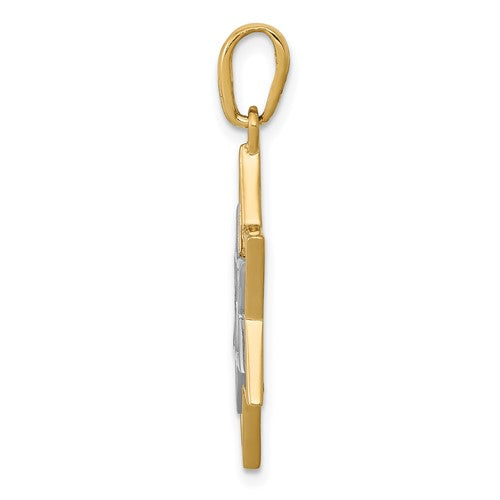 14k Yellow Gold and Rhodium Two Tone Star of David Pendant Charm