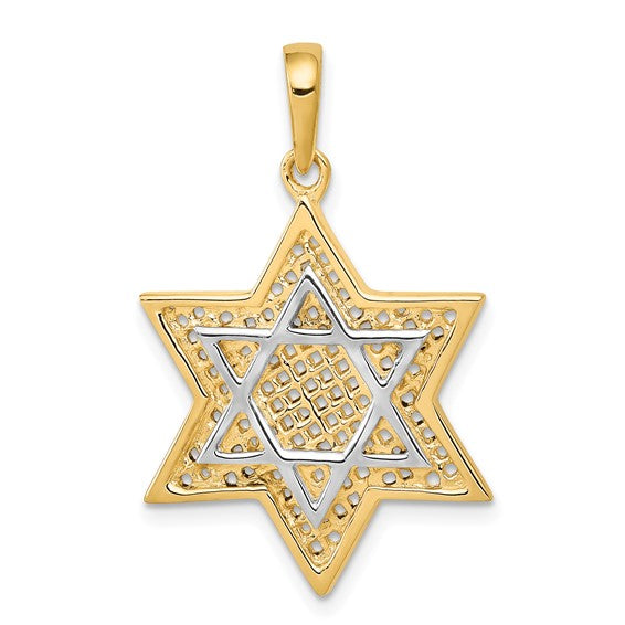 14k Yellow Gold and Rhodium Two Tone Star of David Pendant Charm