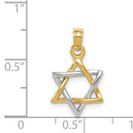 Afbeelding in Gallery-weergave laden, 14k Yellow White Gold Two Tone Star of David Pendant Charm
