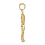 Carica l&#39;immagine nel visualizzatore di Gallery, 14k Yellow Gold Flamingo 3D Pendant Charm
