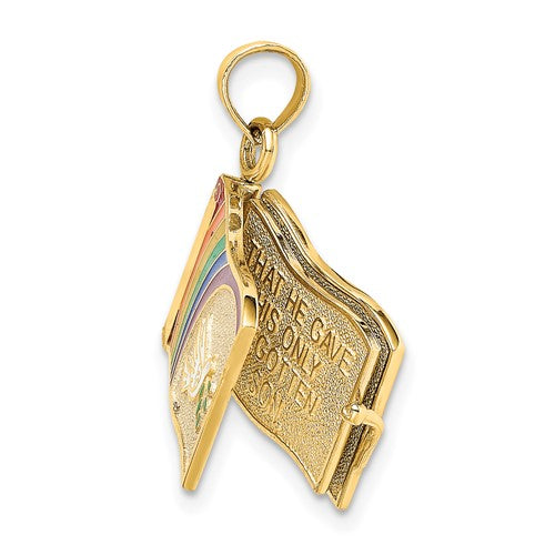 14k Yellow Gold Enamel Rainbow Peace Dove John 3:16 Book 3D Pendant Charm