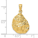 Load image into Gallery viewer, 14k Yellow Gold Oyster Shell Seashell Pendant Charm
