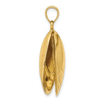 Lataa kuva Galleria-katseluun, 14k Yellow Gold Mussel Shell 3D Pendant Charm
