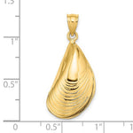 將圖片載入圖庫檢視器 14k Yellow Gold Mussel Shell 3D Pendant Charm
