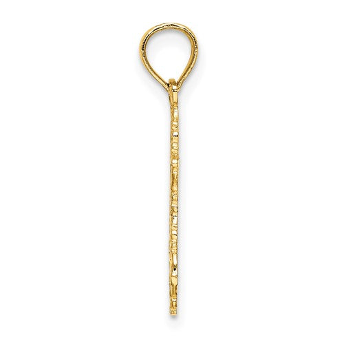 14k Yellow Gold Star of David Textured Pendant Charm