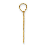 Cargar imagen en el visor de la galería, 14k Yellow Gold Star of David Textured Pendant Charm
