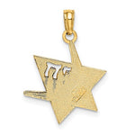 Load image into Gallery viewer, 14k Yellow White Gold Two Tone Star of David Chai Symbol Pendant Charm
