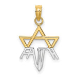Afbeelding in Gallery-weergave laden, 14k Yellow Gold and Rhodium Star of David Pendant Charm

