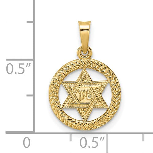 14k Yellow Gold Star of David Textured Round Circle Pendant Charm