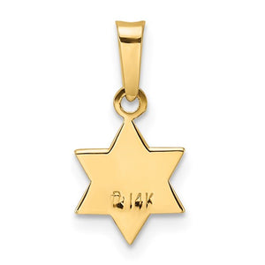 14k Yellow Gold Enamel Star of David Pendant Charm
