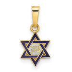 Load image into Gallery viewer, 14k Yellow Gold Enamel Star of David Pendant Charm
