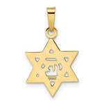 將圖片載入圖庫檢視器 14k Yellow Gold Star of David Pendant Charm
