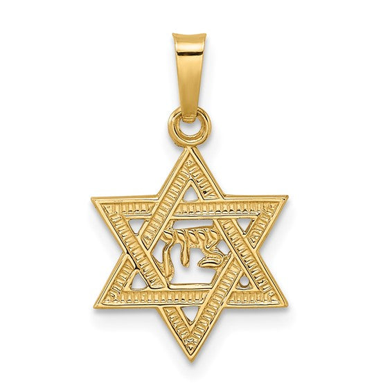 14k Yellow Gold Star of David Pendant Charm