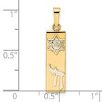 Ladda upp bild till gallerivisning, 14k Gold Two Tone Mezuzah Star of David Chai Pendant Charm
