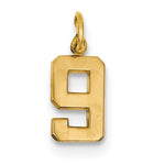 Lataa kuva Galleria-katseluun, 14k Yellow Gold Number 9 Nine Pendant Charm
