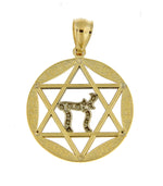 Cargar imagen en el visor de la galería, 14k Yellow Gold and Rhodium Star of David Pendant Charm
