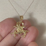 Load and play video in Gallery viewer, 14k Yellow Gold Aries Zodiac Horoscope Large Pendant Charm
