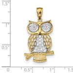 Charger l&#39;image dans la galerie, 14k Yellow Gold and Rhodium Owl Pendant Charm
