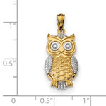 Lade das Bild in den Galerie-Viewer, 14k Yellow Gold and Rhodium Owl Pendant Charm
