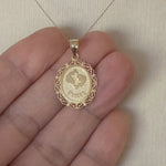Load and play video in Gallery viewer, 14k Yellow Gold Pisces Zodiac Horoscope Oval Pendant Charm
