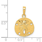 Φόρτωση εικόνας στο εργαλείο προβολής Συλλογής, 14k Yellow Gold Sand Dollar Pendant Charm - [cklinternational]
