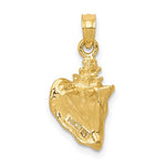 Load image into Gallery viewer, 14k Yellow Gold Conch Shell 3D Pendant Charm - [cklinternational]
