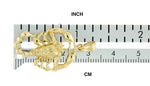 Load image into Gallery viewer, 14k Yellow Gold Scorpio Zodiac Horoscope Large Pendant Charm
