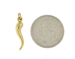 Carica l&#39;immagine nel visualizzatore di Gallery, 14k Yellow Gold Italian Horn Lucky 3D Pendant Charm
