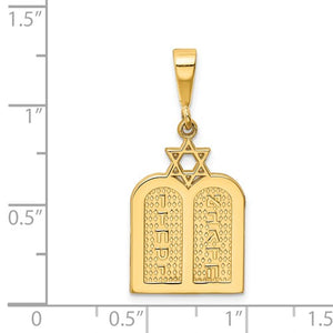 14k Yellow Gold Torah Star of David Pendant Charm - [cklinternational]