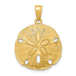 Load image into Gallery viewer, 14k Yellow Gold Sand Dollar Pendant Charm
