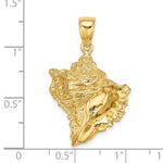 Φόρτωση εικόνας στο εργαλείο προβολής Συλλογής, 14k Yellow Gold Conch Shell Seashell 2D Pendant Charm
